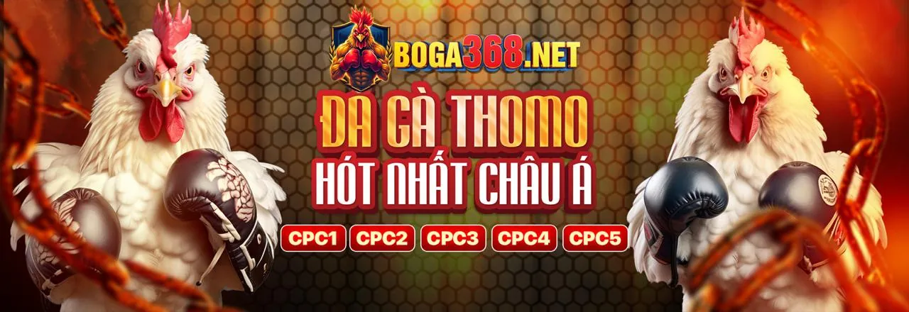 Giao diện đặt cược đá gà bcgame casino